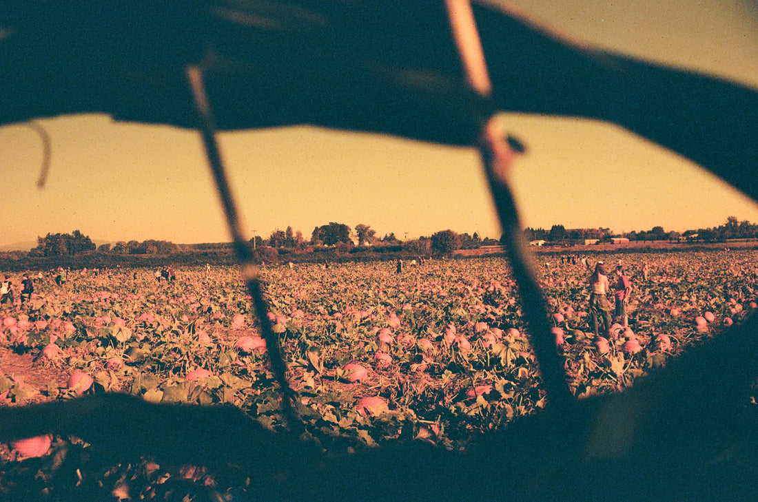 Seasonally Spooky Portraits and Haunting Landscapes