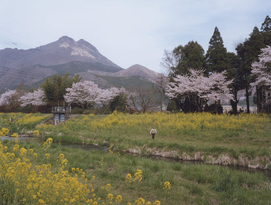 Lab Gallery for March 2022/Store Gallery for April 2022: Yama no Hikari by Tomomi Matsutani