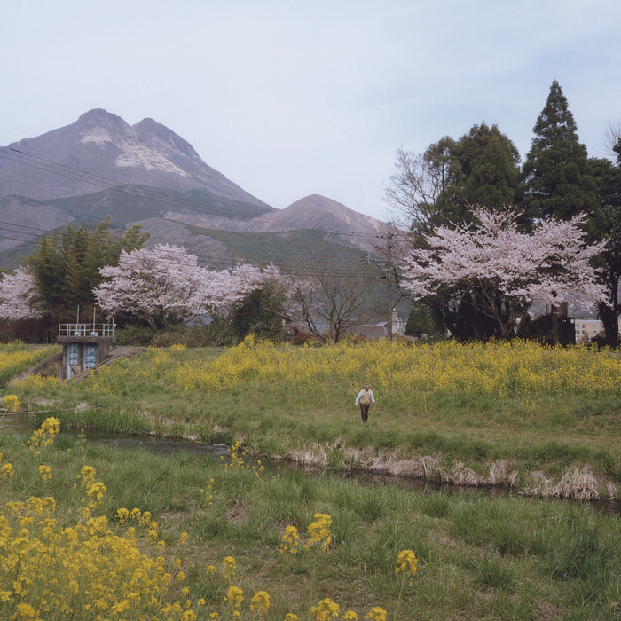 Lab Gallery for March 2022/Store Gallery for April 2022: Yama no Hikari by Tomomi Matsutani