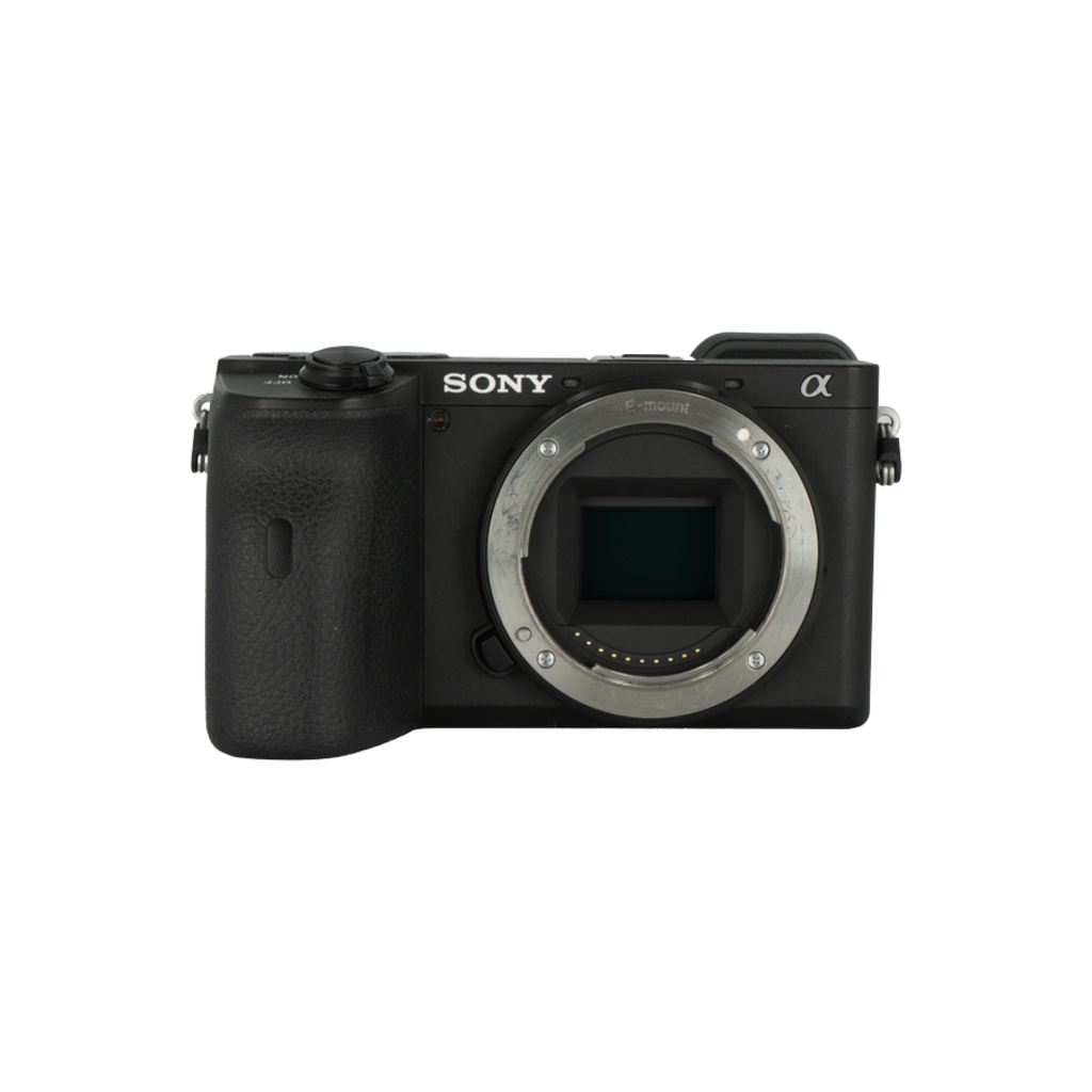 Sony A6600