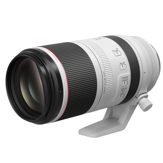 Canon RF 100-500mm f/4.5-7.1 L IS USM Lens